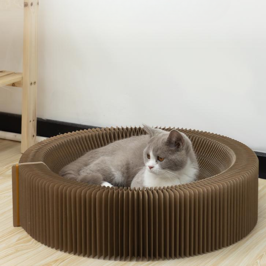 Scratching board for cats