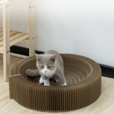 Scratching board for cats