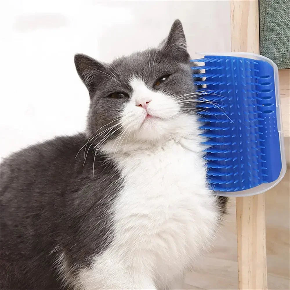 Cat brush