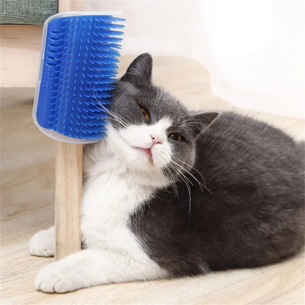 Cat brush