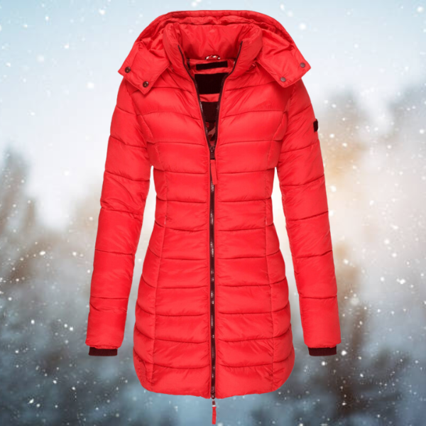 Down jacket with hood