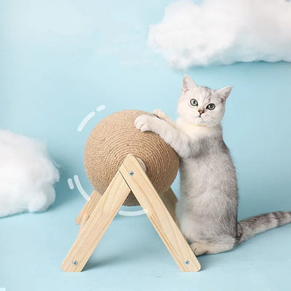 Cats for cats