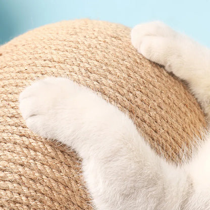 Cats for cats