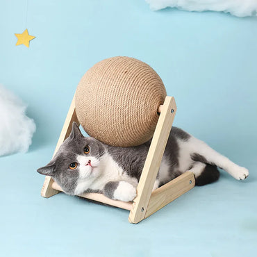Cats for cats