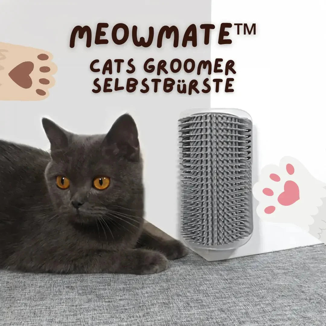 Cat brush