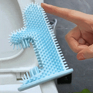 Bacterial toilet brush with disinfection head