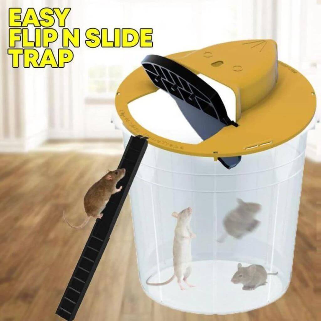 Flip & slide mouse trap